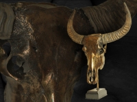 buffalo-skull-in-metalic-bronze