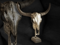bull-skull-in-metalic-silver-on-base