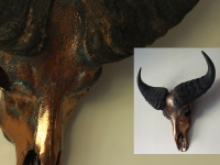 kafferbuffel-oud-goud