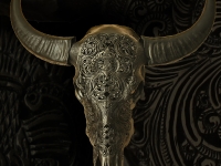 waterbuffel-schedel-gegraveerd-in-kleur-gun-metal