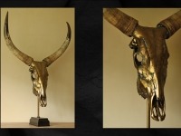watusi-schedel-in-metalic-brons-op-sokkel-maat-83x120cm