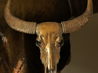 buffalo-skull-in-metalic-bronze-on-marbled-base