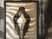 wall-panel-zebra-skull-special-size-with-frame