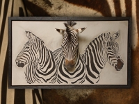 wandpaneel-burchell-zebras-en-zebrapreparaat
